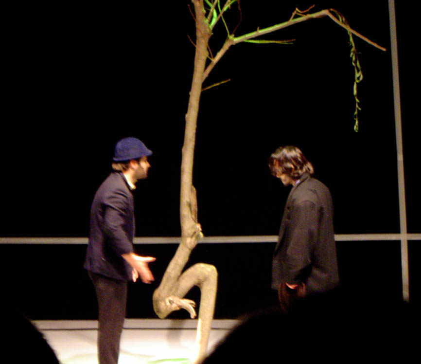 © Sonilda Bardhoshi Mills