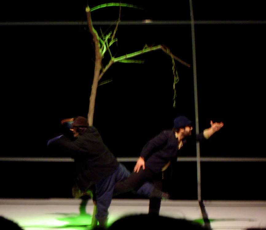 © Sonilda Bardhoshi Mills